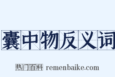 囊中物反义词是什么意思的图片